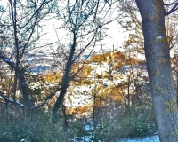 wandelen sneeuw